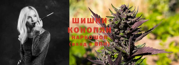 PSILOCYBIN Лихославль