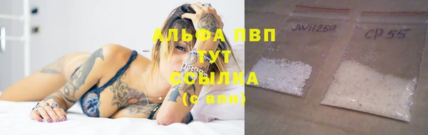 PSILOCYBIN Лихославль