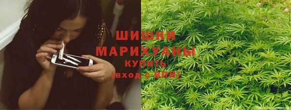PSILOCYBIN Лихославль
