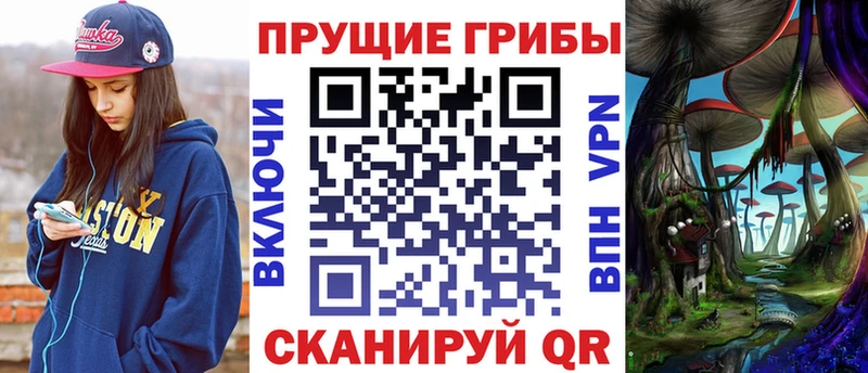 Псилоцибиновые грибы MAGIC MUSHROOMS  blacksprut рабочий сайт  Брюховецкая  где найти  